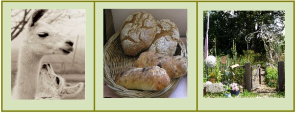 Hallertau-Lamas-EigeneWerbung